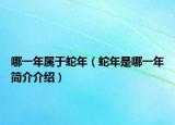 哪一年屬于蛇年（蛇年是哪一年簡(jiǎn)介介紹）