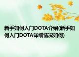 新手如何入門DOTA介紹(新手如何入門DOTA詳細(xì)情況如何)