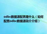 odbc數(shù)據(jù)源配置是什么（如何配置odbc數(shù)據(jù)源簡介介紹）