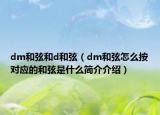 dm和弦和d和弦（dm和弦怎么按對應(yīng)的和弦是什么簡介介紹）