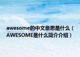 awesome的中文意思是什么（AWESOME是什么簡介介紹）