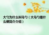 大勺為什么叫馬勺（大馬勺是什么梗簡(jiǎn)介介紹）