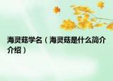 海靈菇學(xué)名（海靈菇是什么簡(jiǎn)介介紹）