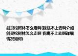 劍靈松樹林怎么走啊(我跳不上去啊介紹 劍靈松樹林怎么走啊 我跳不上去啊詳細情況如何)