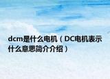 dcm是什么電機（DC電機表示什么意思簡介介紹）