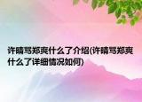 許晴罵鄭爽什么了介紹(許晴罵鄭爽什么了詳細情況如何)