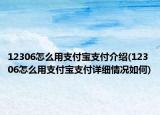 12306怎么用支付寶支付介紹(12306怎么用支付寶支付詳細情況如何)