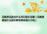 花瓶養(yǎng)花放點(diǎn)什么可以延長(zhǎng)花期（花瓶里面加什么延長(zhǎng)鮮花壽命簡(jiǎn)介介紹）