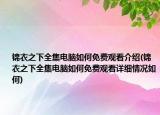 錦衣之下全集電腦如何免費(fèi)觀看介紹(錦衣之下全集電腦如何免費(fèi)觀看詳細(xì)情況如何)