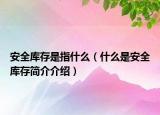 安全庫存是指什么（什么是安全庫存簡介介紹）