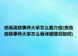 貴南高鐵事件大家怎么看介紹(貴南高鐵事件大家怎么看詳細情況如何)