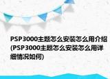 PSP3000主題怎么安裝怎么用介紹(PSP3000主題怎么安裝怎么用詳細情況如何)