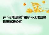 psp無限回廊介紹(psp無限回廊詳細(xì)情況如何)