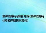 繁體傷感qq網(wǎng)名介紹(繁體傷感qq網(wǎng)名詳細(xì)情況如何)