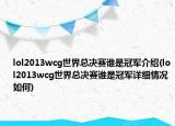 lol2013wcg世界總決賽誰(shuí)是冠軍介紹(lol2013wcg世界總決賽誰(shuí)是冠軍詳細(xì)情況如何)