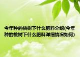 今年種的桃樹下什么肥料介紹(今年種的桃樹下什么肥料詳細(xì)情況如何)