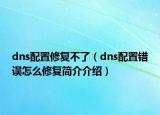 dns配置修復(fù)不了（dns配置錯(cuò)誤怎么修復(fù)簡介介紹）