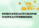 BIN和EX文件怎么打開介紹(BIN和EX文件怎么打開詳細(xì)情況如何)