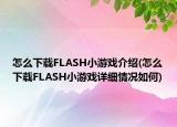 怎么下載FLASH小游戲介紹(怎么下載FLASH小游戲詳細情況如何)