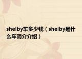 shelby車多少錢（shelby是什么車簡介介紹）