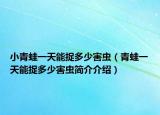 小青蛙一天能捉多少害蟲（青蛙一天能捉多少害蟲簡介介紹）