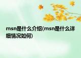 msn是什么介紹(msn是什么詳細(xì)情況如何)