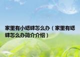 家里有小蟋蟀怎么辦（家里有蟋蟀怎么辦簡(jiǎn)介介紹）