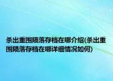 殺出重圍隕落存檔在哪介紹(殺出重圍隕落存檔在哪詳細情況如何)