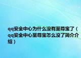 qq安全中心為什么沒有至尊寶了（qq安全中心至尊寶怎么沒了簡介介紹）