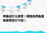 養(yǎng)魚說什么意思（網(wǎng)絡(luò)說養(yǎng)魚是啥意思簡介介紹）