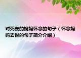 對(duì)死去的媽媽?xiě)涯畹木渥樱☉涯顙寢屓ナ赖木渥雍?jiǎn)介介紹）