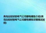 青島比較好的電氣公司都有哪些介紹(青島比較好的電氣公司都有哪些詳細(xì)情況如何)