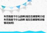 朱芳雨是干什么的啊(現(xiàn)在在哪里呢介紹 朱芳雨是干什么的啊 現(xiàn)在在哪里呢詳細(xì)情況如何)