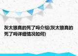 灰太狼真的死了嗎介紹(灰太狼真的死了嗎詳細(xì)情況如何)