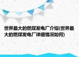 世界最大的燃煤發(fā)電廠介紹(世界最大的燃煤發(fā)電廠詳細情況如何)