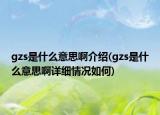 gzs是什么意思啊介紹(gzs是什么意思啊詳細(xì)情況如何)