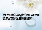 wow血魂怎么獲得介紹(wow血魂怎么獲得詳細(xì)情況如何)