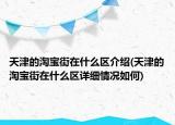 天津的淘寶街在什么區(qū)介紹(天津的淘寶街在什么區(qū)詳細情況如何)