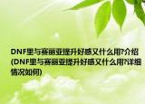 DNF里與賽麗亞提升好感又什么用?介紹(DNF里與賽麗亞提升好感又什么用?詳細(xì)情況如何)