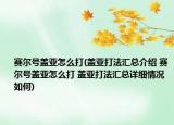 賽爾號蓋亞怎么打(蓋亞打法匯總介紹 賽爾號蓋亞怎么打 蓋亞打法匯總詳細情況如何)