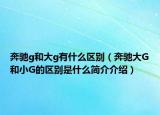 奔馳g和大g有什么區(qū)別（奔馳大G和小G的區(qū)別是什么簡(jiǎn)介介紹）