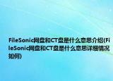 FileSonic網(wǎng)盤和CT盤是什么意思介紹(FileSonic網(wǎng)盤和CT盤是什么意思詳細(xì)情況如何)