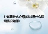 SNS是什么介紹(SNS是什么詳細情況如何)