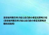 圣安地列斯怎樣才能讓自己的小弟變無敵呢介紹(圣安地列斯怎樣才能讓自己的小弟變無敵呢詳細情況如何)