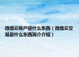 微信云賬戶是什么東西（微信云交易是什么東西簡介介紹）