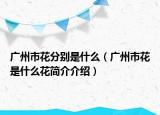 廣州市花分別是什么（廣州市花是什么花簡介介紹）