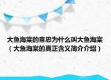 大魚海棠的意思為什么叫大魚海棠（大魚海棠的真正含義簡介介紹）