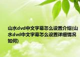 山水dvd中文字幕怎么設(shè)置介紹(山水dvd中文字幕怎么設(shè)置詳細(xì)情況如何)