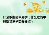 什么歌曲簡(jiǎn)單易學(xué)（什么歌簡(jiǎn)單好唱又易學(xué)簡(jiǎn)介介紹）