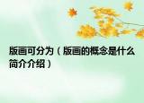 版畫可分為（版畫的概念是什么簡介介紹）